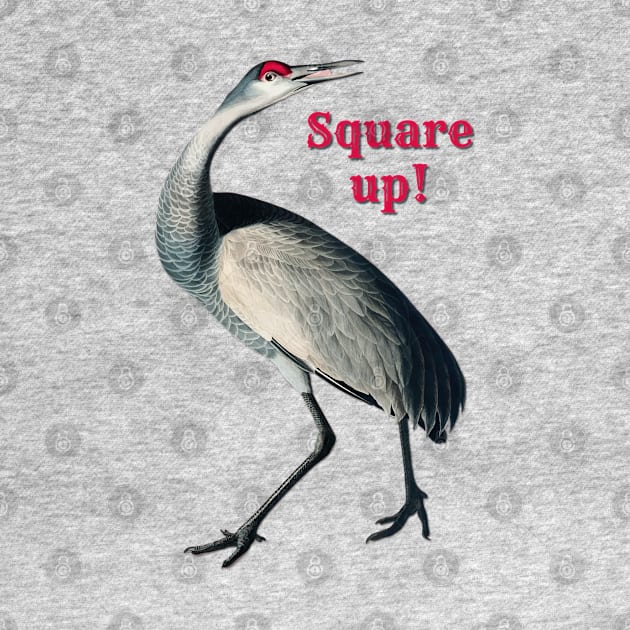 Square Up Heron by yaywow